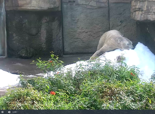 Screenshot 2024 01 17 2.16.48 PM.png