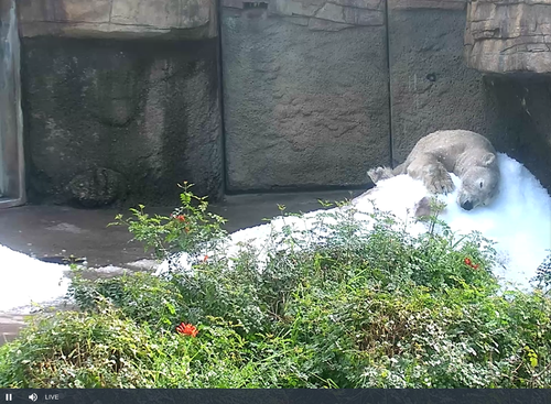 Screenshot 2024 01 17 2.16.53 PM.png