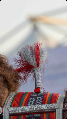 95539298 1B7C 461D A743 C4179A38291B.jpg