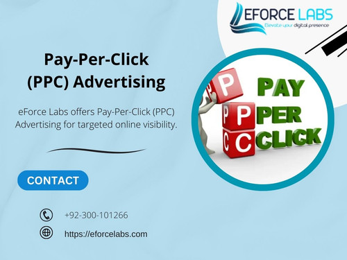 Pay-Per-Click (PPC) Advertising.jpg