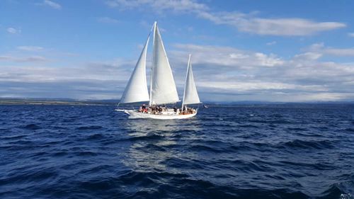 Lake Taupo Yacht Cruise | Maori Rock Carvings | Sail Barbary.jpg
