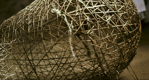 20240120 154330 bTxfzU.png