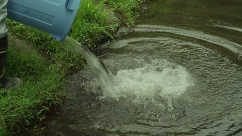 20240120 155331 NOiyAn.png