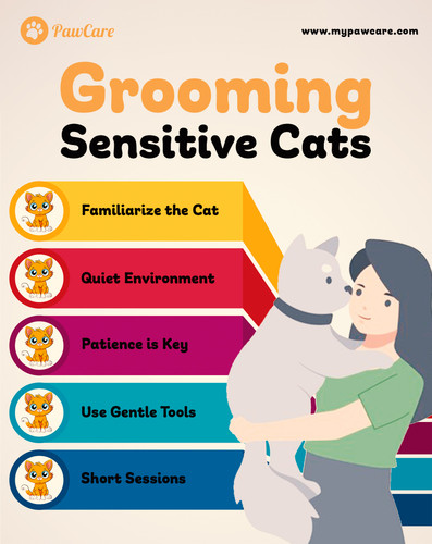 Grooming Sensitive Cats.jpg
