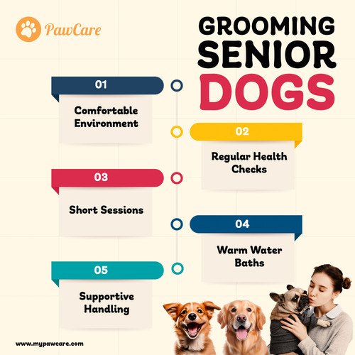Grooming Senior Dogs.jpg