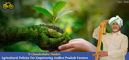 N Chandrababu Naidu’s Agricultural Policies For Empowering Andhra Pradesh Farmers.jpg