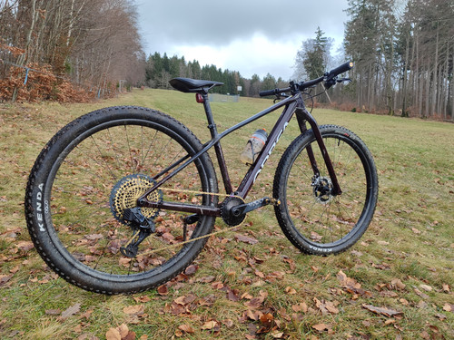 IMG 20231230 134352.jpg