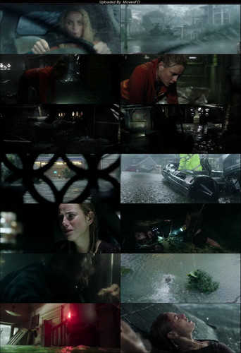 [SCREENSHOTS] Crawl.2019.BluRay.480p.[Hindi.English].ESub.jpg