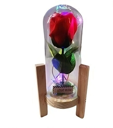 WhatsApp Image 2024 01 03 at 20.51.21 4824dbda transformed.jpg