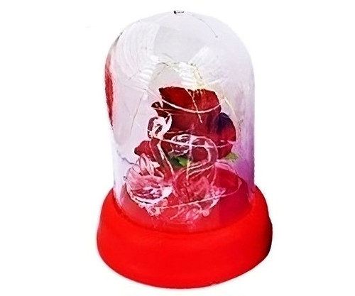 WhatsApp Image 2024 01 03 at 20.51.22 9ee861f4 transformed.jpg