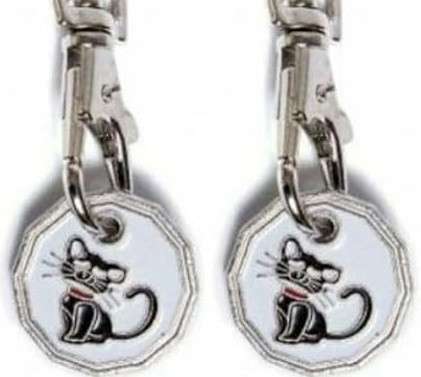 51hohUV4kvL. AC SX425 (1).jpg