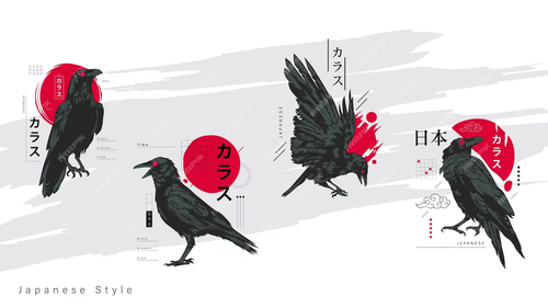 coleccion diseno.png