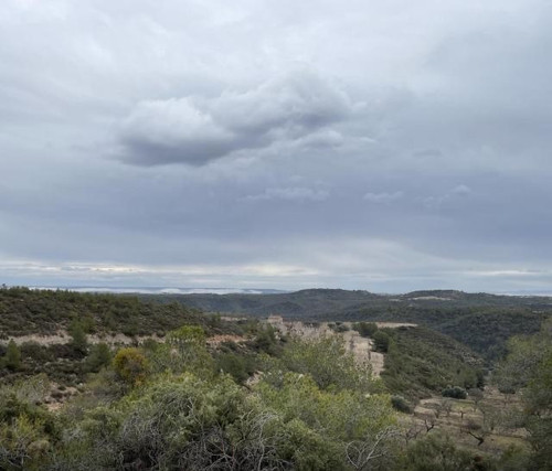 20240118124807 copia.jpg