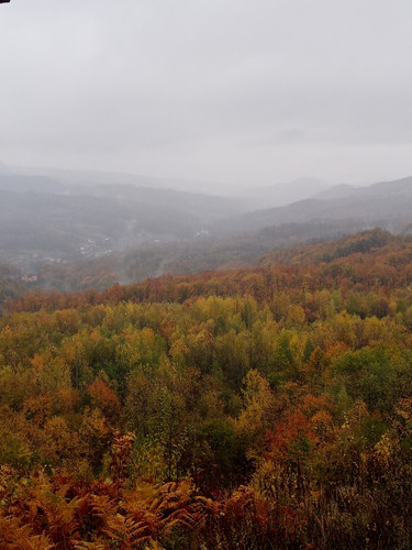 IMG 20231121 142017 507.jpg