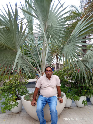 IMG 20240121 WA0011.jpg