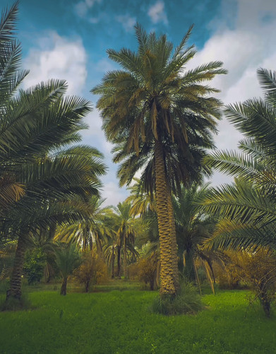 images%2Fimage 1705810792499.jpg