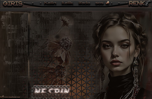 KAHVELİİ NESRİN .jpg