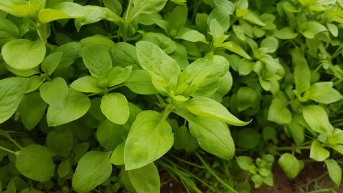 images%2Fimage 1705819382965.jpg