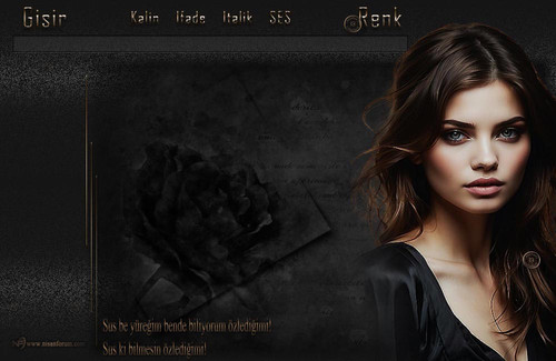 Bayan Radyo Tema 275 liebefee13