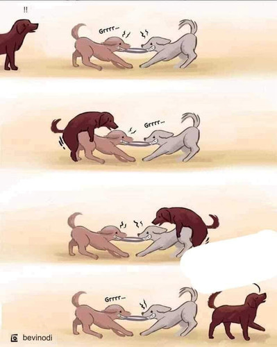 FB IMG 1705589784188.jpg