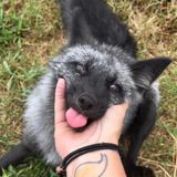 Screenshot 2024 01 18 09.29.56.png