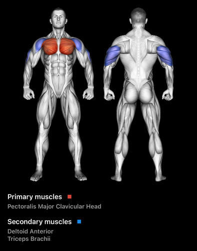 Dumbell Incline Chest Press Image.jpg