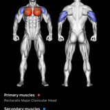 Dumbell Incline Chest Press Image