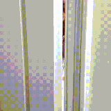 sobaka7.gif