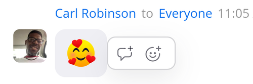 Screenshot 2024 01 18 11.05.59 AM.png