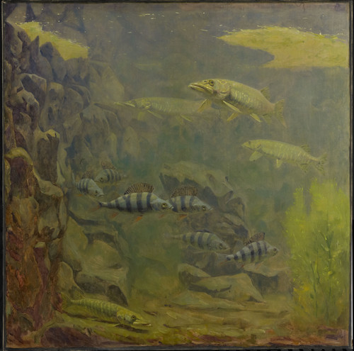 Dijsselhof, Gerrit Willem Щуки и окуни в аквариуме, 1920, 100 cm x 100 cm, Холст, масло