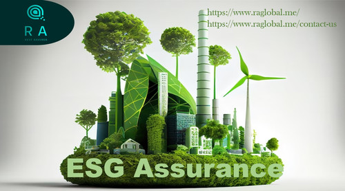 The Role of ESG Assurance.jpg