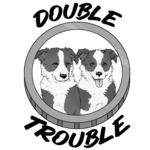 Double Trouble.png