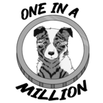 One in a Million.png