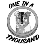 One in a Thousand.png