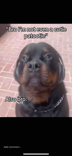 9AF444A1 5BCF 435E A1C8 25913519FDCA.jpg