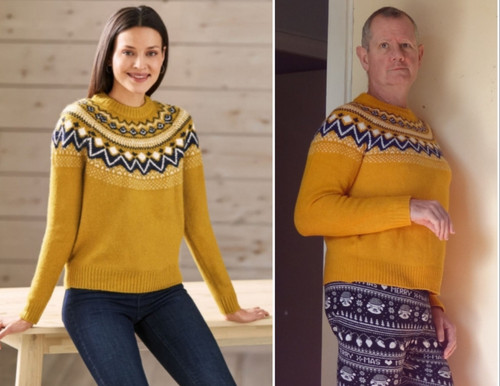 1B pull moutarde.jpg