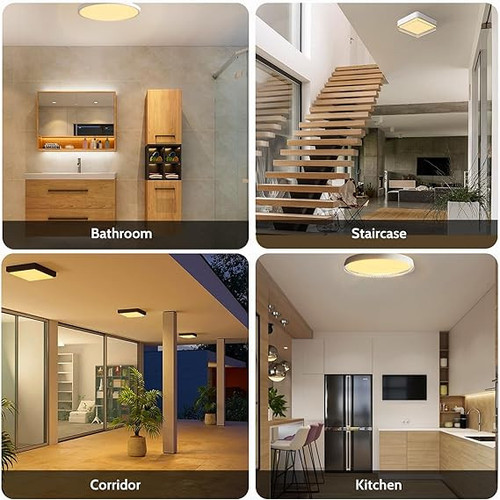 71lpwhxv1hL. AC SX569 .jpg