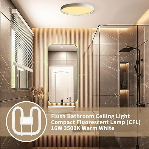 71kpx7he nL. AC SX569 .jpg