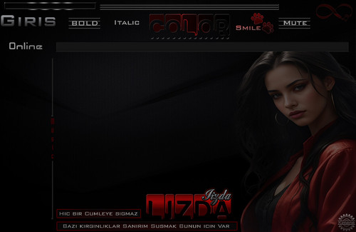 Hic bir cümleye signaz bazi kizginliklar LİZDA.jpg