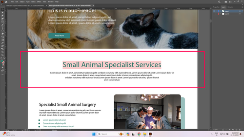 6cef578d 5437 4df2 aabf c1beef194b18.png