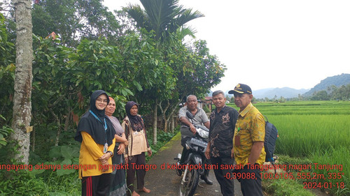 Sawah Tangguang 2024 01 18.jpg