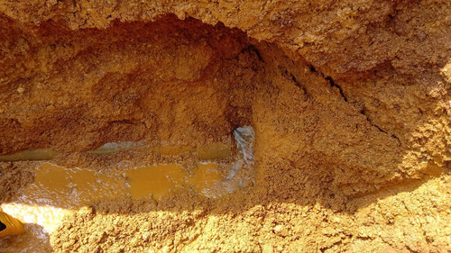 WhatsApp Image 2024 01 22 at 12.51.46 PM.jpg