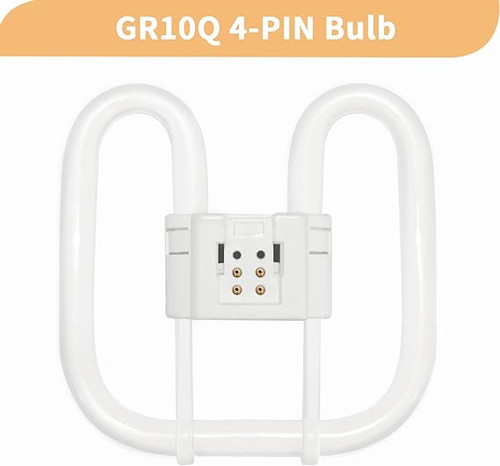 517cgv0nxrL. AC SX569 .jpg