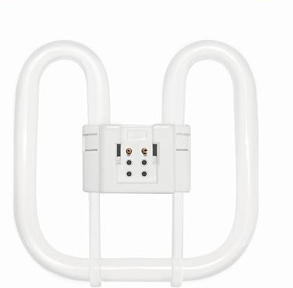 513t2q5yX3L. AC SX569 .jpg