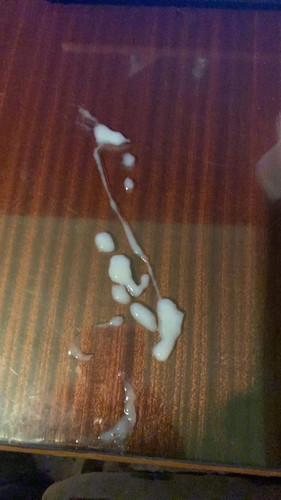 Image 20230523 184411 386.jpg