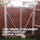 如何有效防止猫越狱.gif