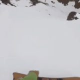 狗子开心地跟我去滑雪.gif