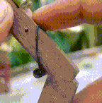 akYUWfJoy915giV.gif