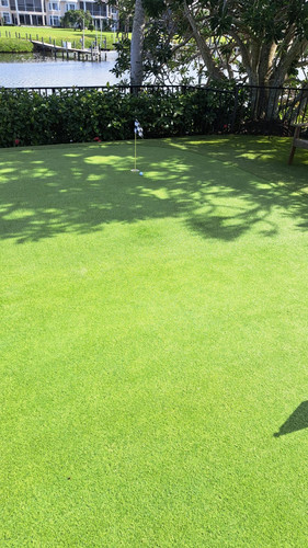 Pet Turf Jupiter (2).jpg