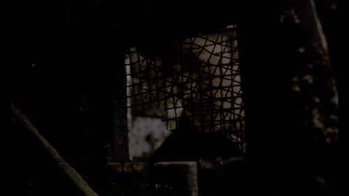 20240120 124503 iLepHM.png